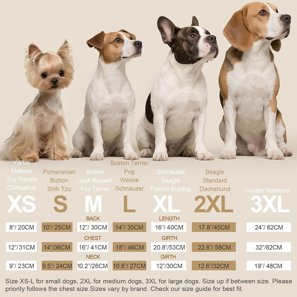 XPUDAC imported pet nightwear garment laid flat to show full measurements and sizing scale.