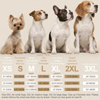 XPUDAC imported pet nightwear garment laid flat to show full measurements and sizing scale.