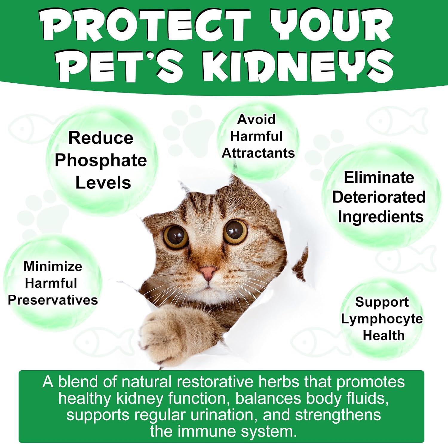 Natural bacon flavor feline kidney detox drops bottle label details