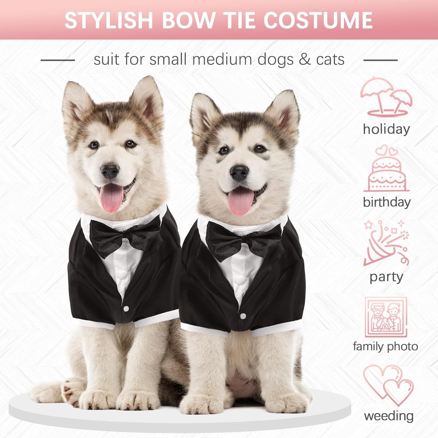 Kuoser dog formal clothing laid flat showcasing the high cut belly design and satin collar details.