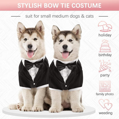 Kuoser dog formal clothing laid flat showcasing the high cut belly design and satin collar details.