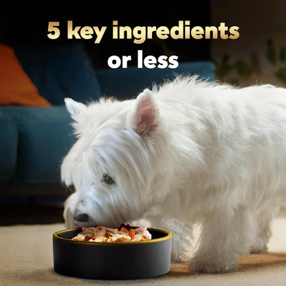 Cesar chicken and vegetable dog food topper mixed with dry kibble in a bowl