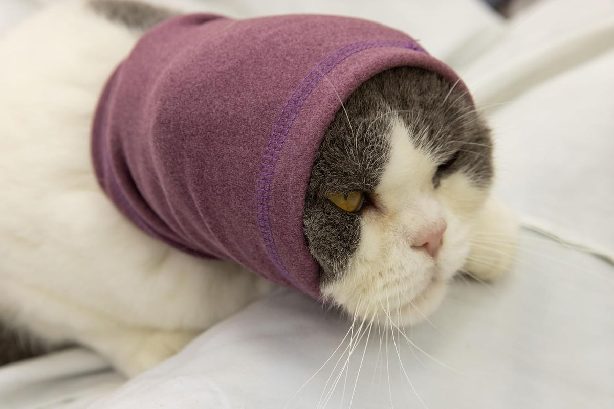 Close up of soft elastic fabric on FDANDADE cat snood
