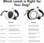 Lulupet retractable leash showing 360 degree tangle free mechanism