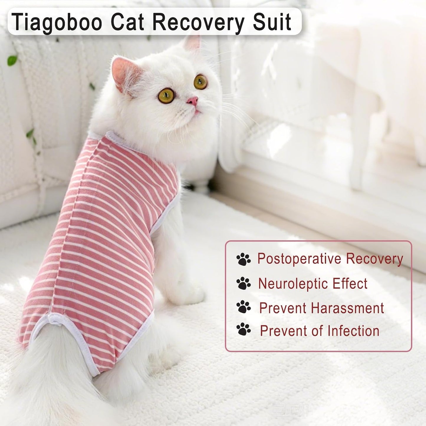 TIAGOBOO E collar alternative outfit allowing comfortable movement for male cats