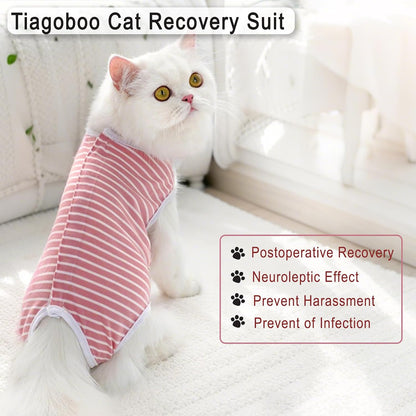 TIAGOBOO E collar alternative outfit allowing comfortable movement for male cats