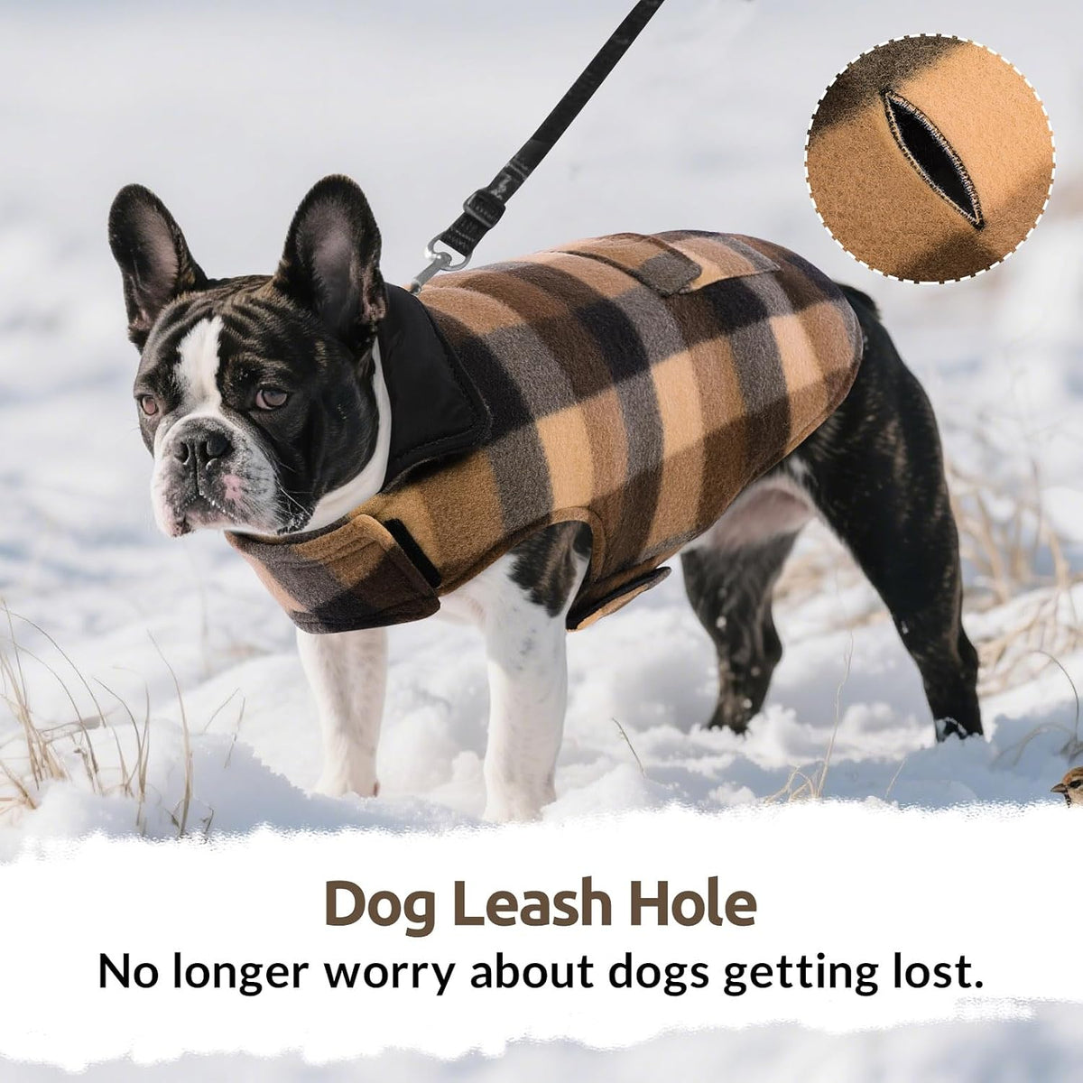 Side profile of a dog wearing the 3XL ASENKU windproof pet jacket during an outdoor walk.