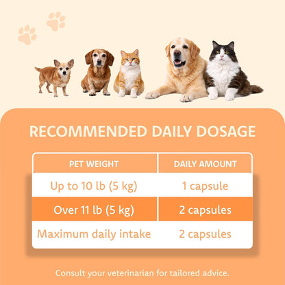 LOVITA Pets Senior Wellness Capsules for Dogs & Cats, with NMN, Resveratrol, Taurine, and PRALISUR Beta-Glucan, Daily Nutritional Support for Aging Pets, 60 Capsules - Image 9
