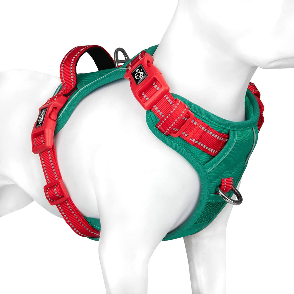 Phoepet no pull harness interior mesh padding detail
