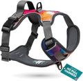Embark Pets Adventure No Pull Dog Harness front view