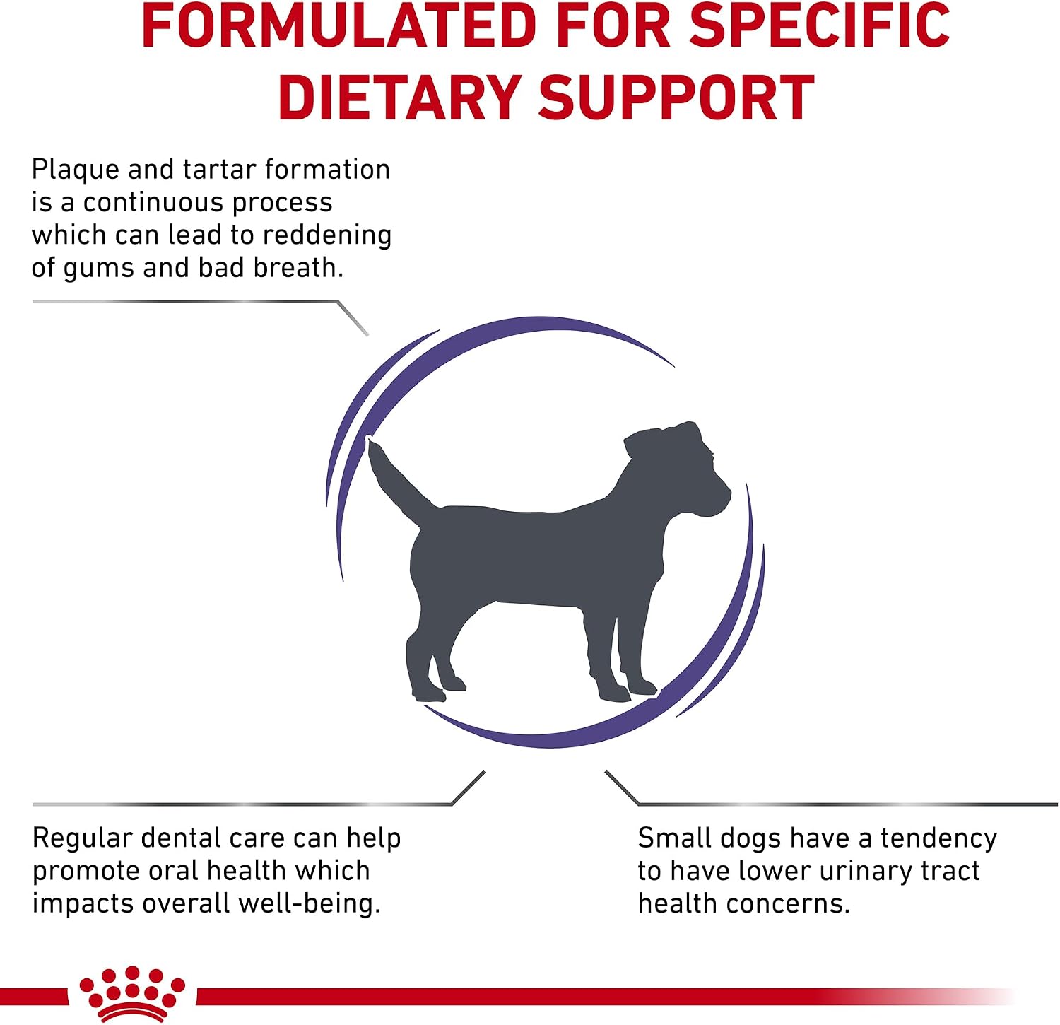 Royal Canin canine veterinary diet dental small adult dog food for plaque and tartar control.