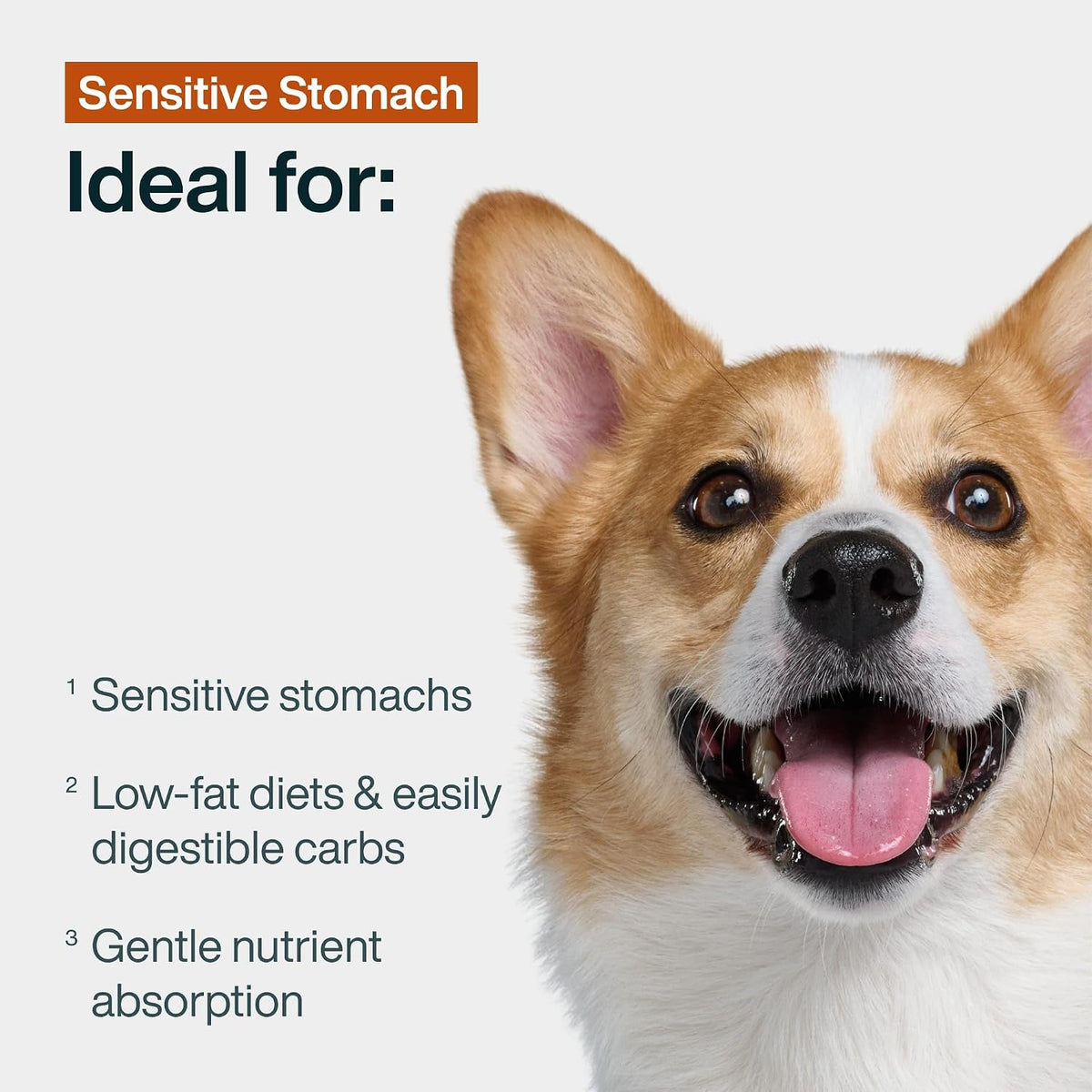 Pack of 14 JustFoodForDogs fresh turkey and rice meal pouches