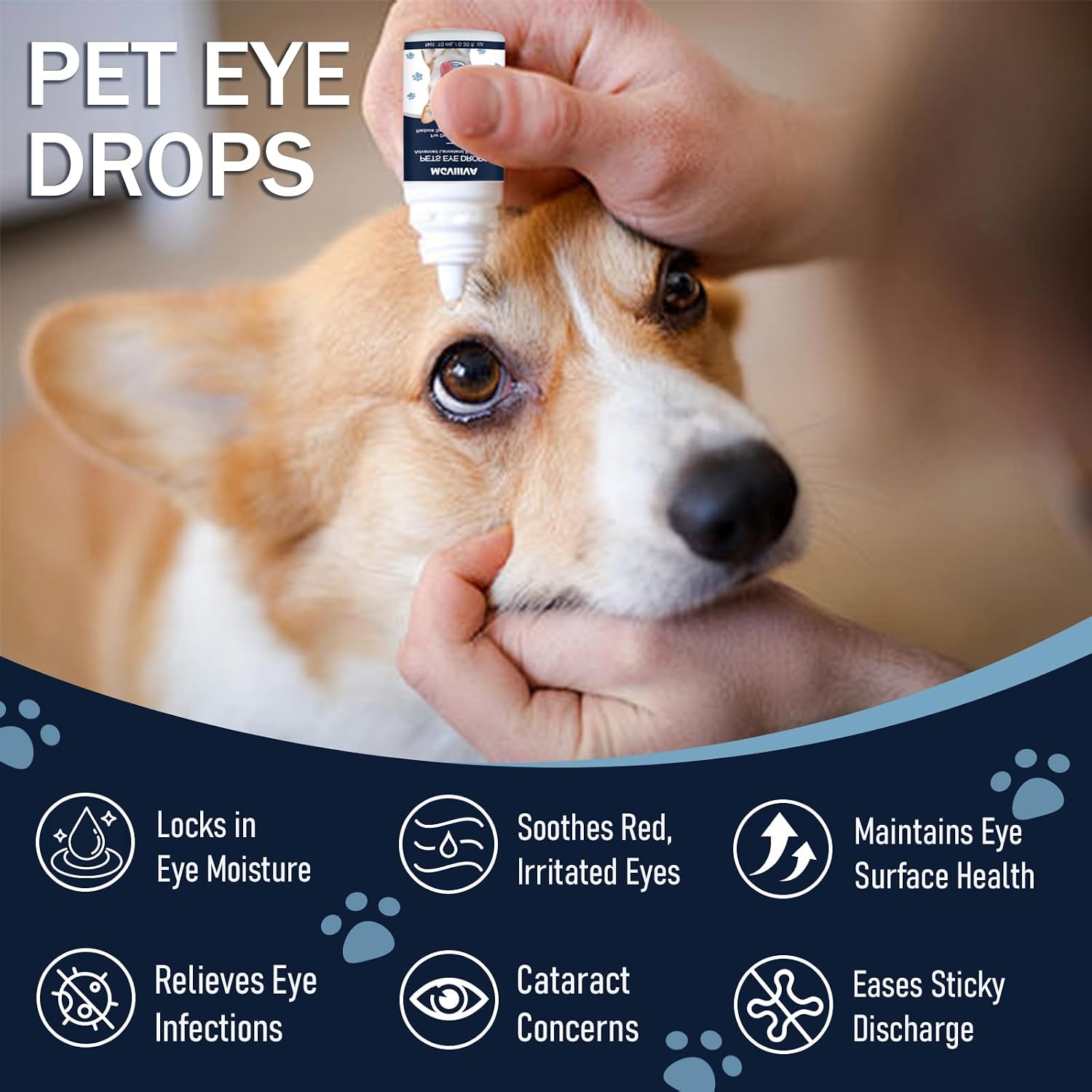 Msktasy lanosterol pet eye drops side packaging highlighting active ingredients for dog lens health