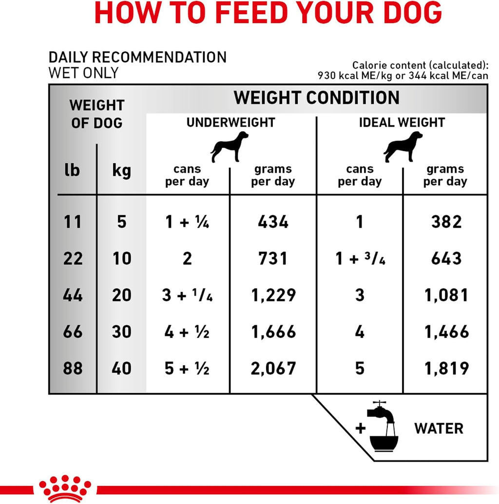 Royal Canin Veterinary Diet Canine Renal Support D Adult Thin Slices in Gravy Dog Food, 13 oz (Pack of 24) - Image 10