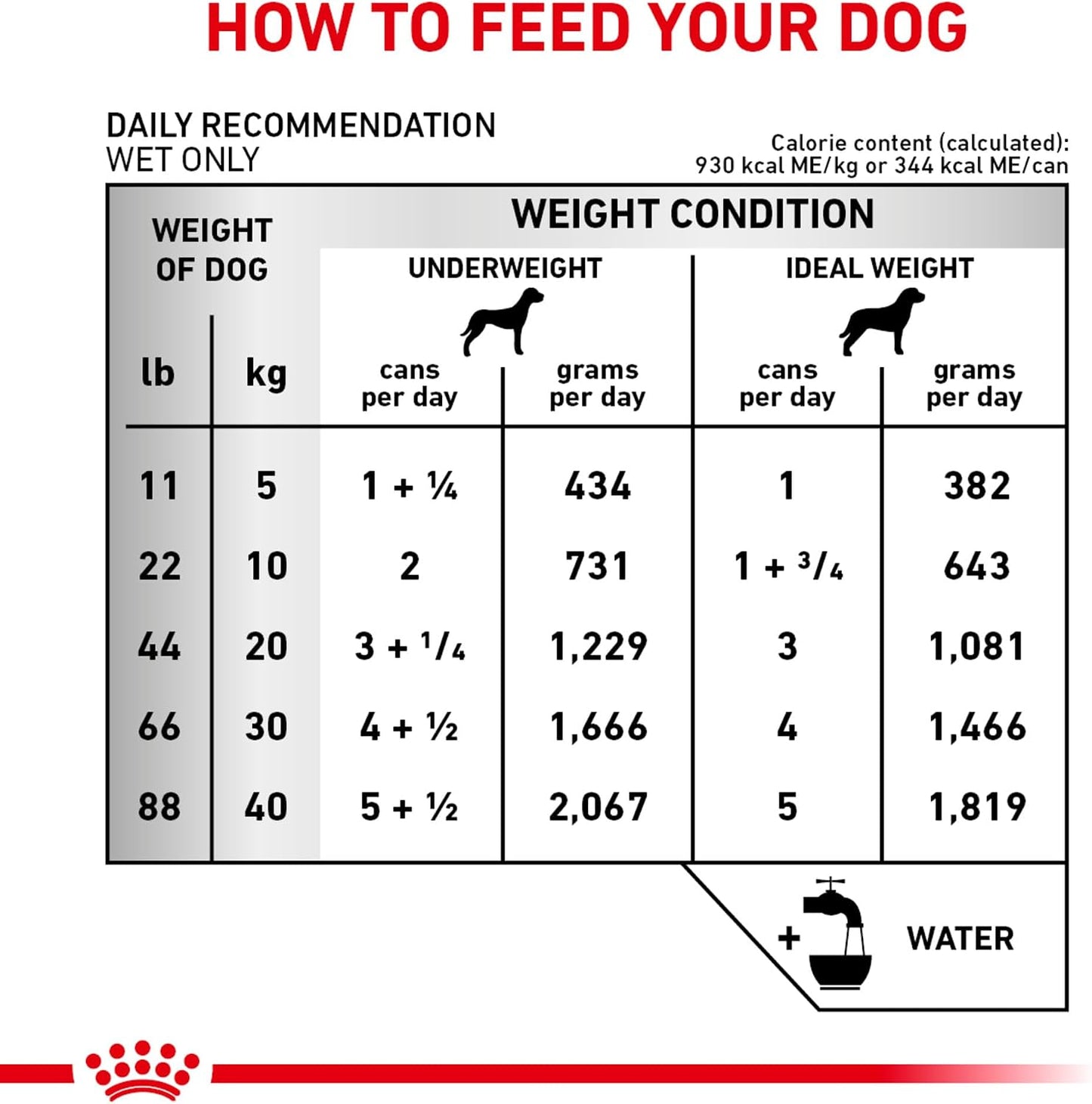 Royal Canin Veterinary Diet Canine Renal Support D Adult Thin Slices in Gravy Dog Food, 13 oz (Pack of 24) - Image 10