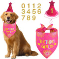 Agroon dog birthday decorations rose pink set front view