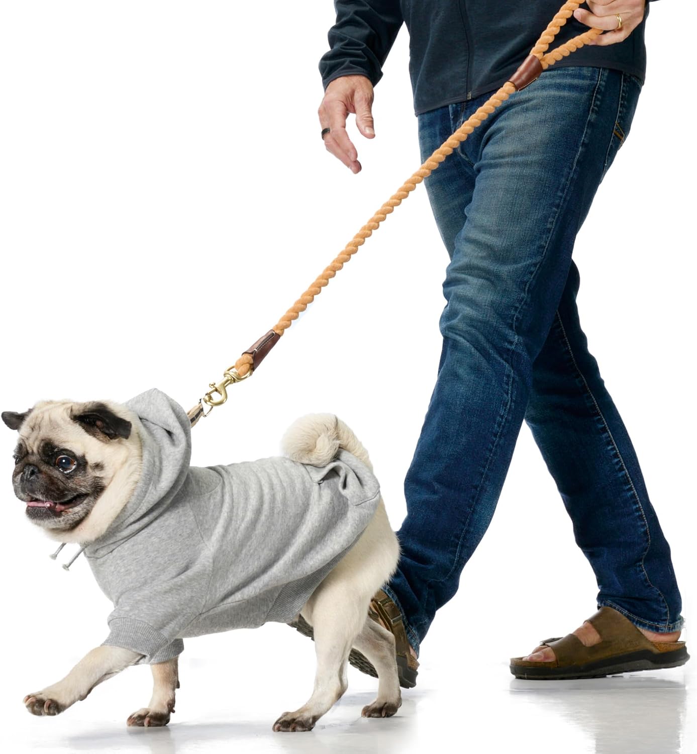 Pet Passion sustainable organic cotton small dog apparel flat lay.