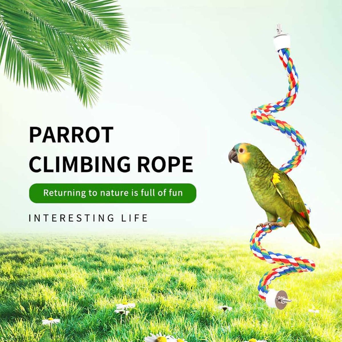 Bird Perch,Bird Rope Perch & Rope Perch 24''/31''/41'' - Image 5