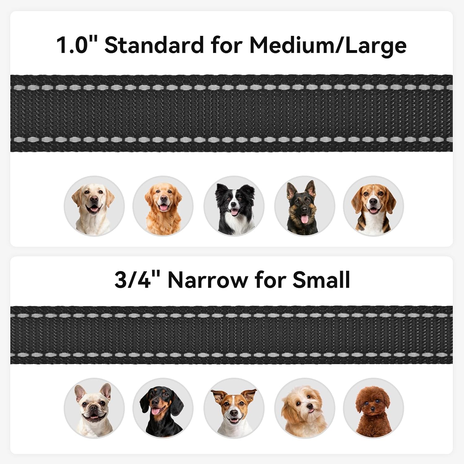 Premium Joytale imported nylon pet walking lead durable design.