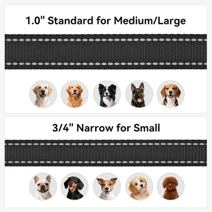 Premium Joytale imported nylon pet walking lead durable design.
