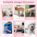 Premium breathable cotton blend disposable diapers for pet incontinence