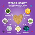 Dinovite omega-3 and taurine powder formula scoop close up