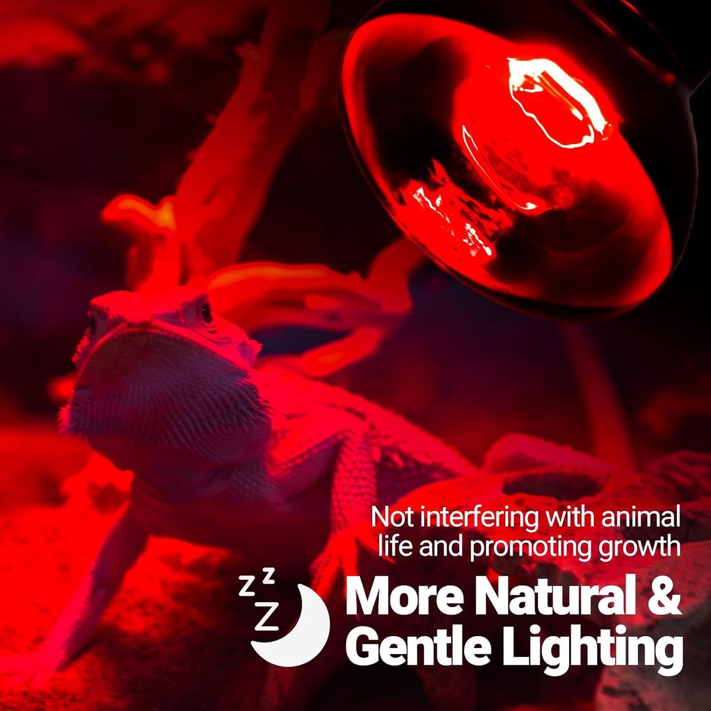 Two pack of REPTI ZOO red infrared spot lights for reptile brooders