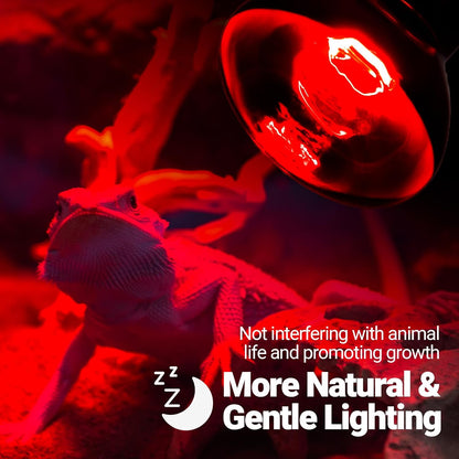 Two pack of REPTI ZOO red infrared spot lights for reptile brooders