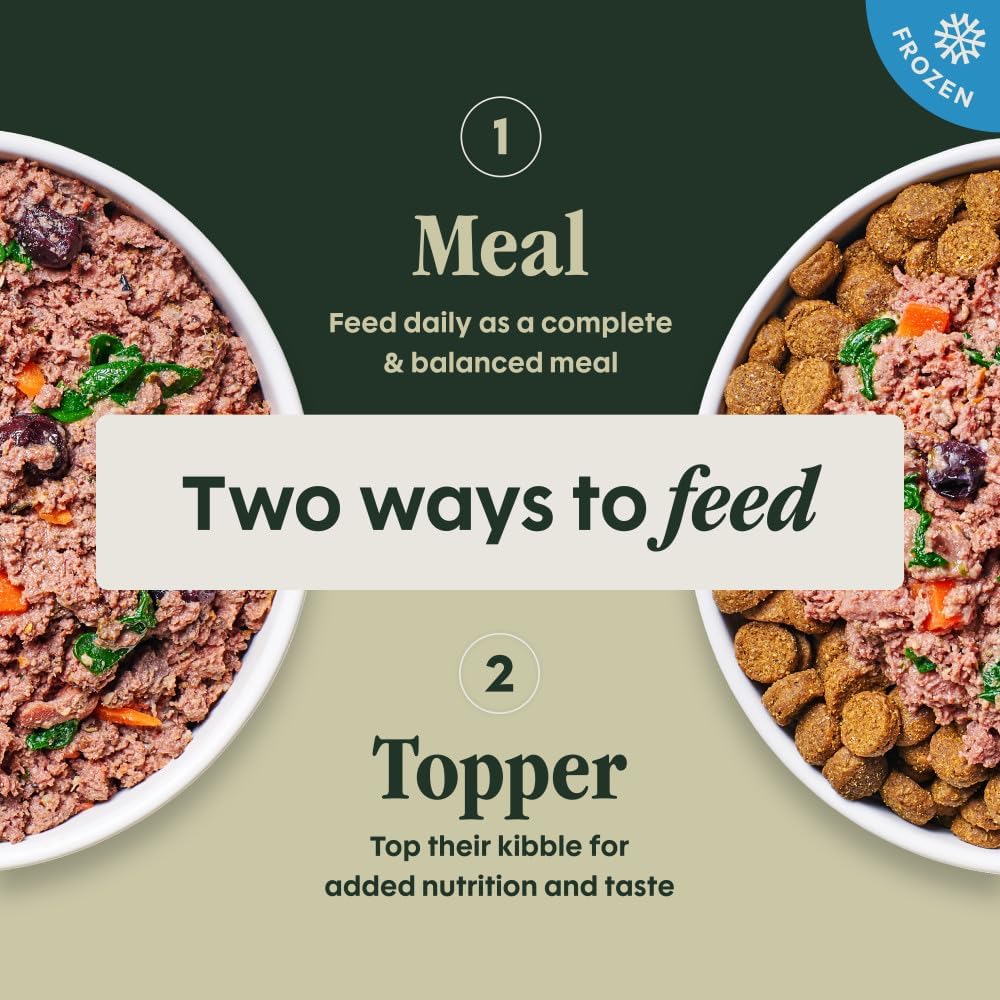 Authentic USA imported Instinct dog food variety pack