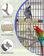 Bissap 5PCS Large Bird Perch Stand, Natural Wood Pole Standing Paw Grinding Fork Parrot Cage Branch with Rope for Macaw African Grey Amazon Pet Medium Large Birds Cage Accessories - Image 2