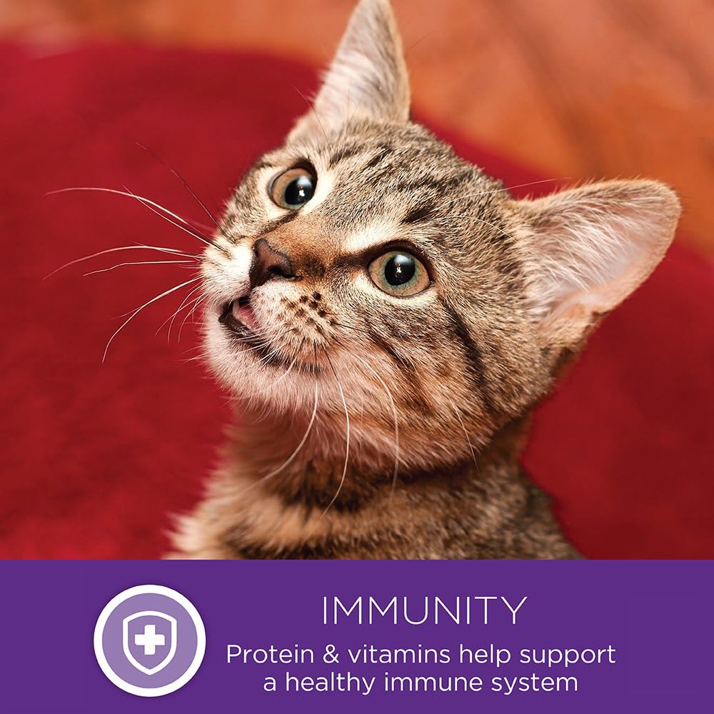 Wellness Healthy Indulgence Gravies Adult Wet Cat Food, Natural, Protein Rich, Grain Free, Tuna and Mackerel Recipe, 3 oz, Pack of 24 Pouches - Image 9