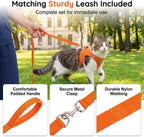 Rishav Pet Care pet walking vest with attached five foot long leash