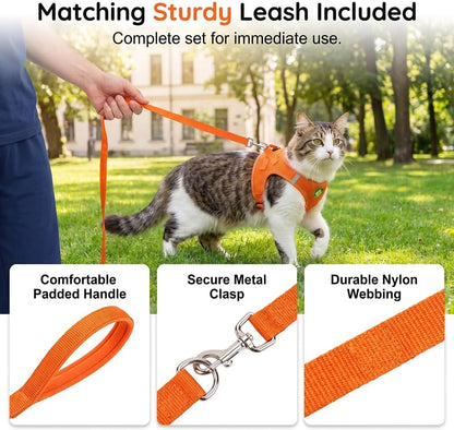 Rishav Pet Care pet walking vest with attached five foot long leash