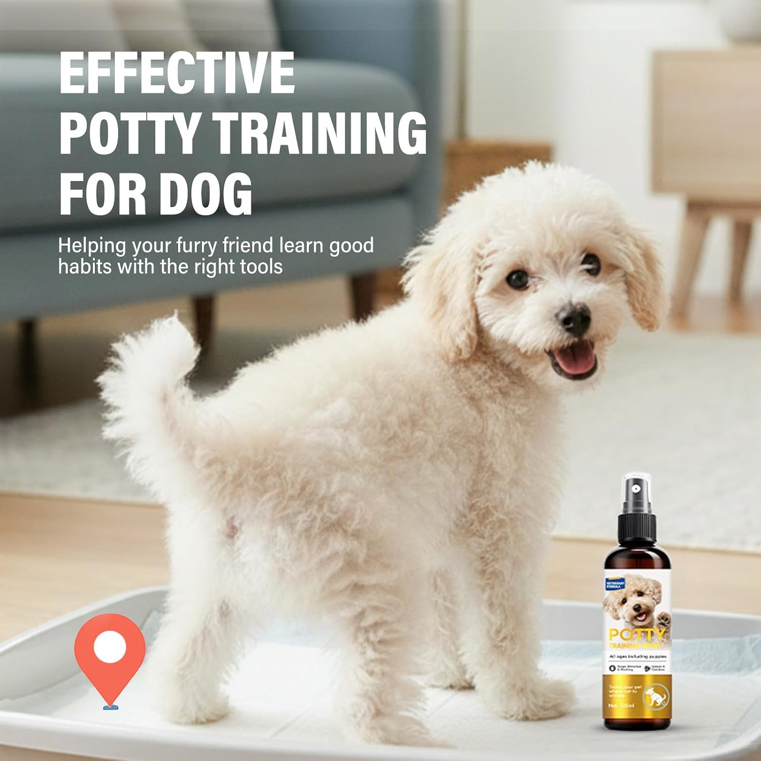 Dog potty training spray bottle being applied to green outdoor grass for pet housebreaking