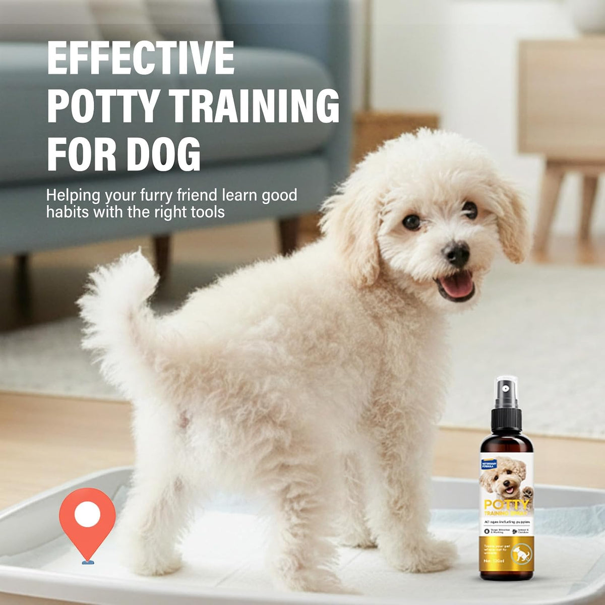 Dog potty training spray bottle being applied to green outdoor grass for pet housebreaking