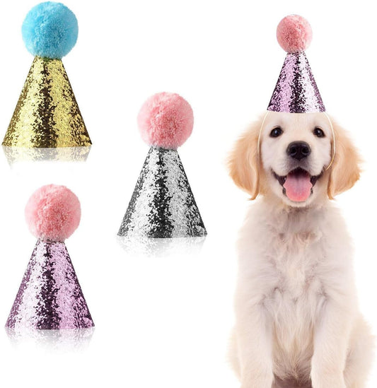 Do-Dottii dog birthday hat set front view with glitter sequins