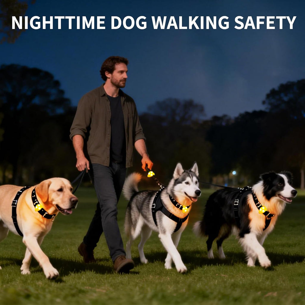 LaRoo high visibility LED dog tag light with adjustable silicone strap