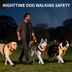 LaRoo high visibility LED dog tag light with adjustable silicone strap