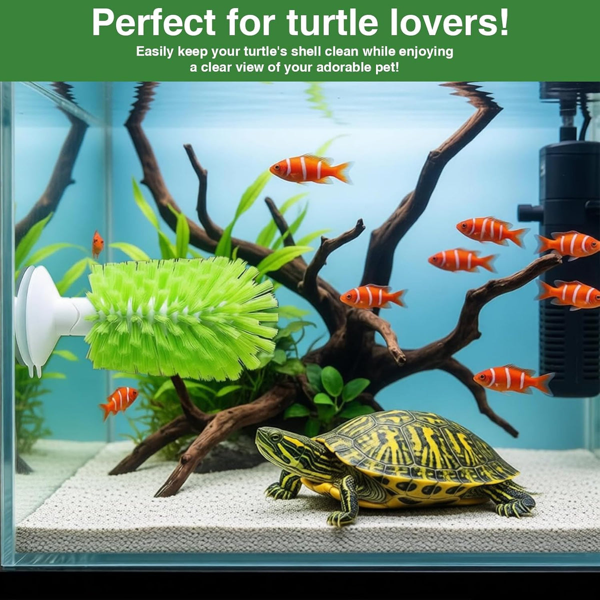 Reptile tank enrichment brush showing durable nylon scrubbing bristles.