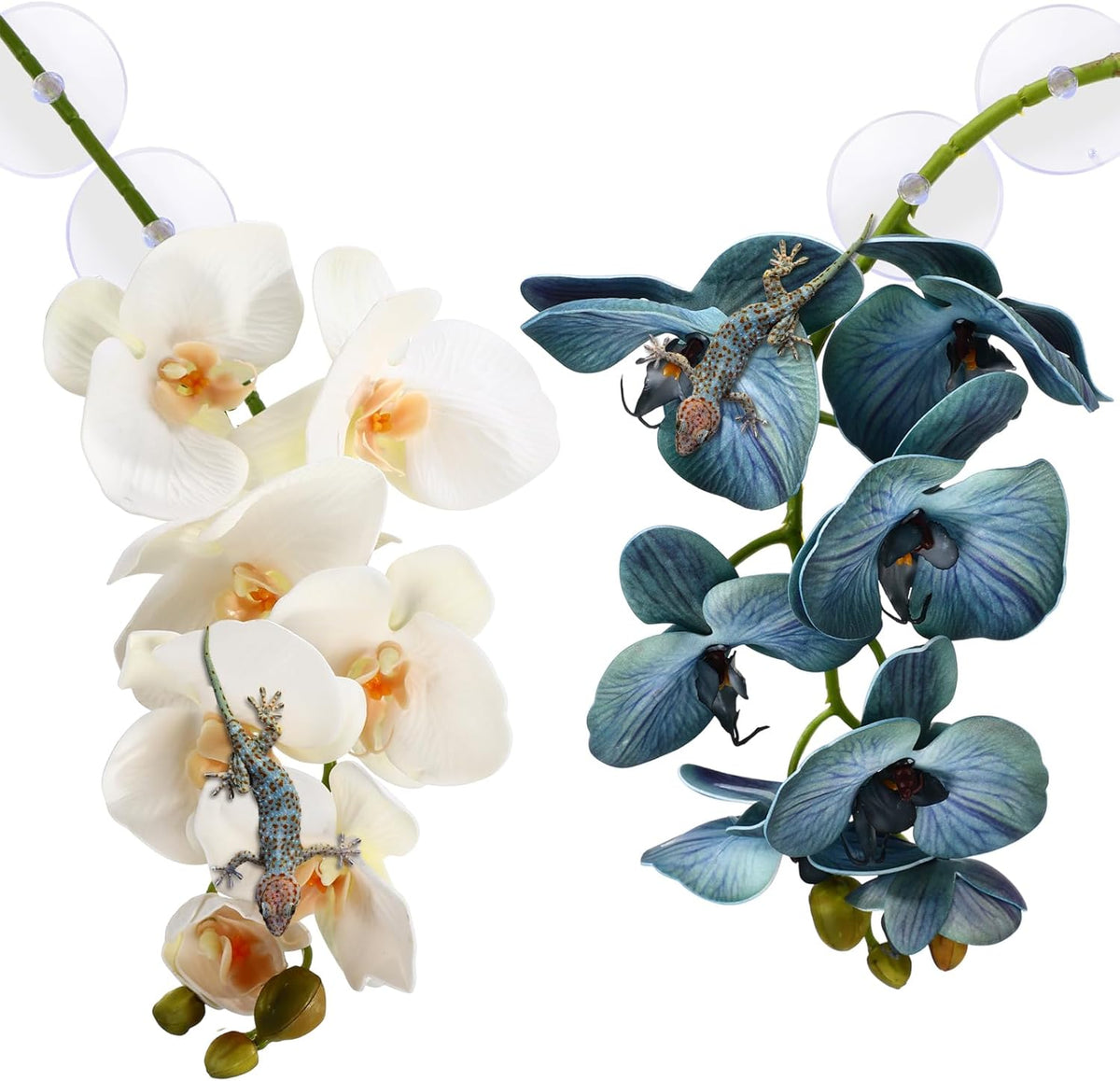 Chuangdi artificial phalaenopsis orchid packaging and contents overview