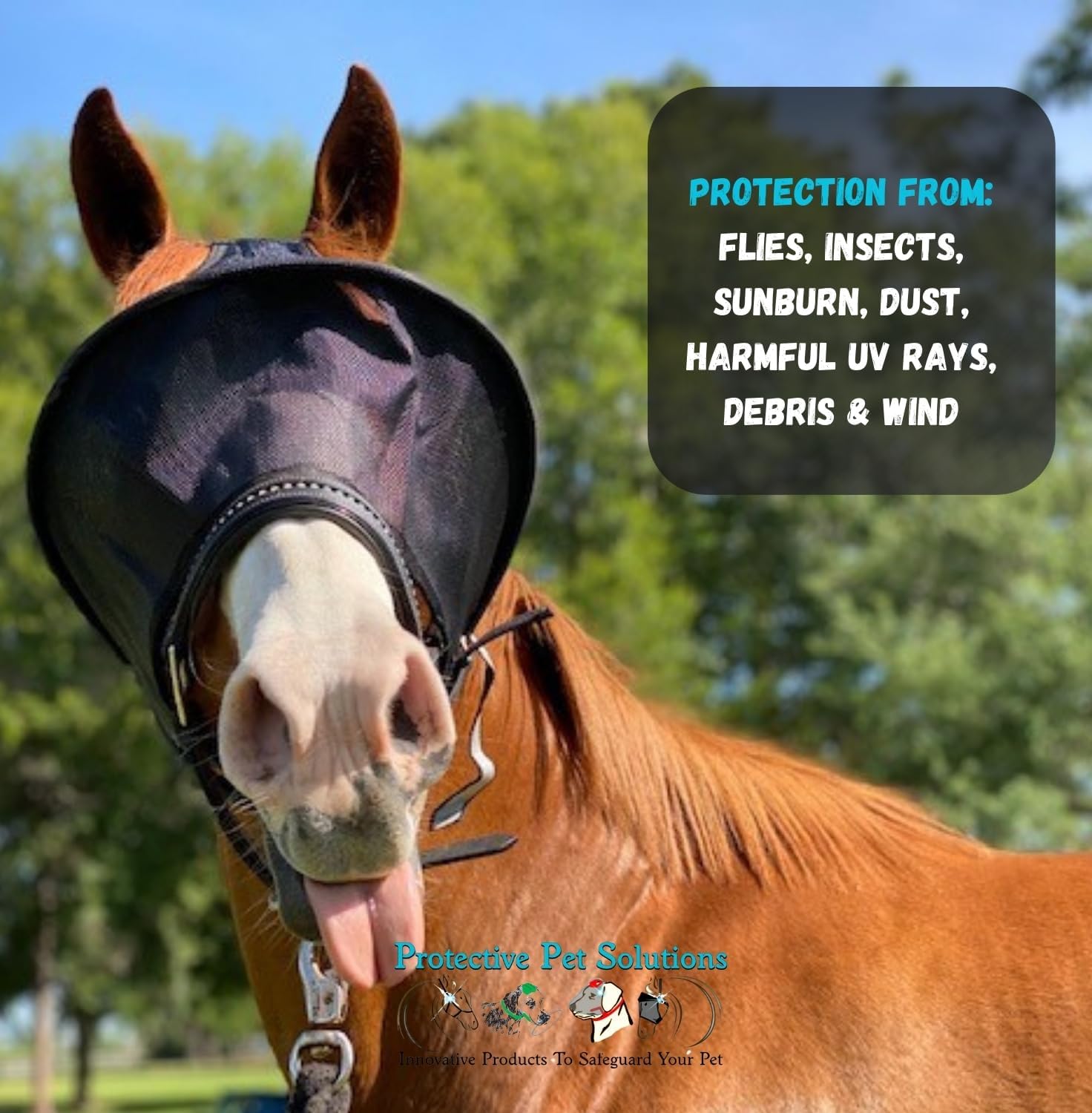 Horse wearing EquiVizor Solar Vizor for uveitis protection