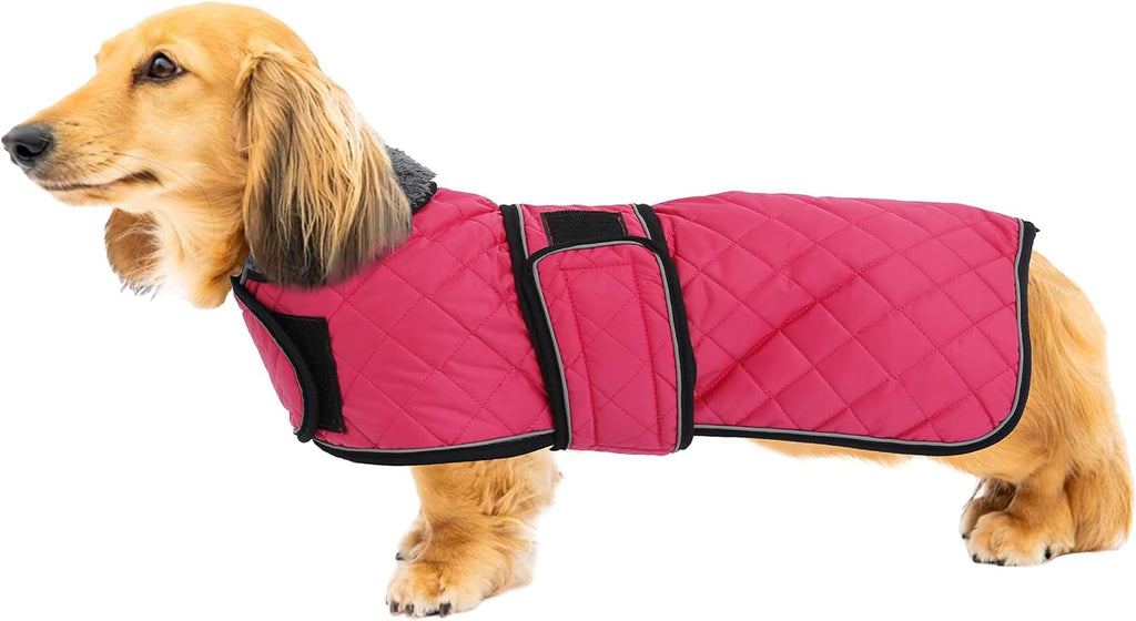 Geyecete warm thermal quilted dachshund coat pink side view