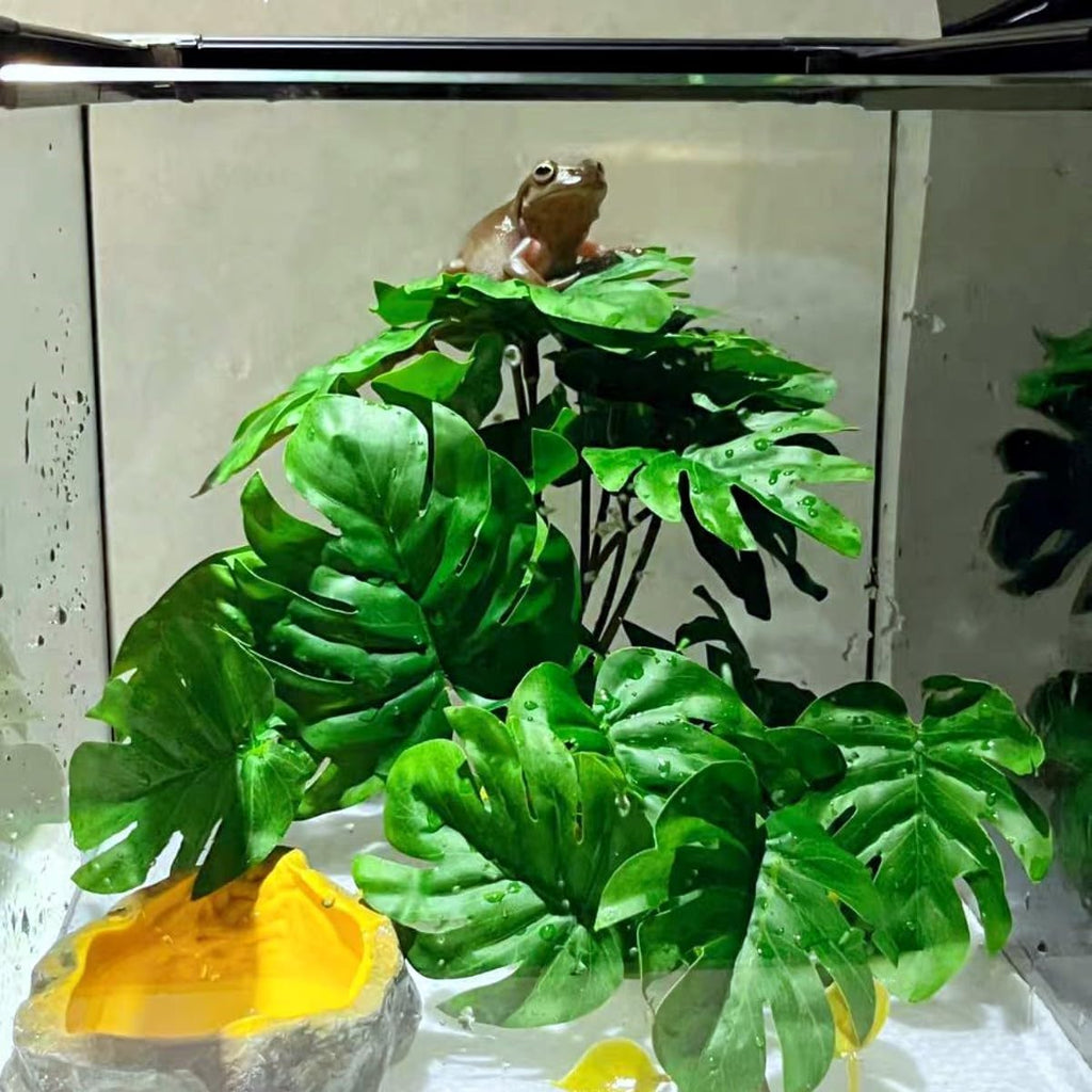 Keruideng plastic terrarium plant side profile