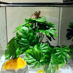 Keruideng plastic terrarium plant side profile