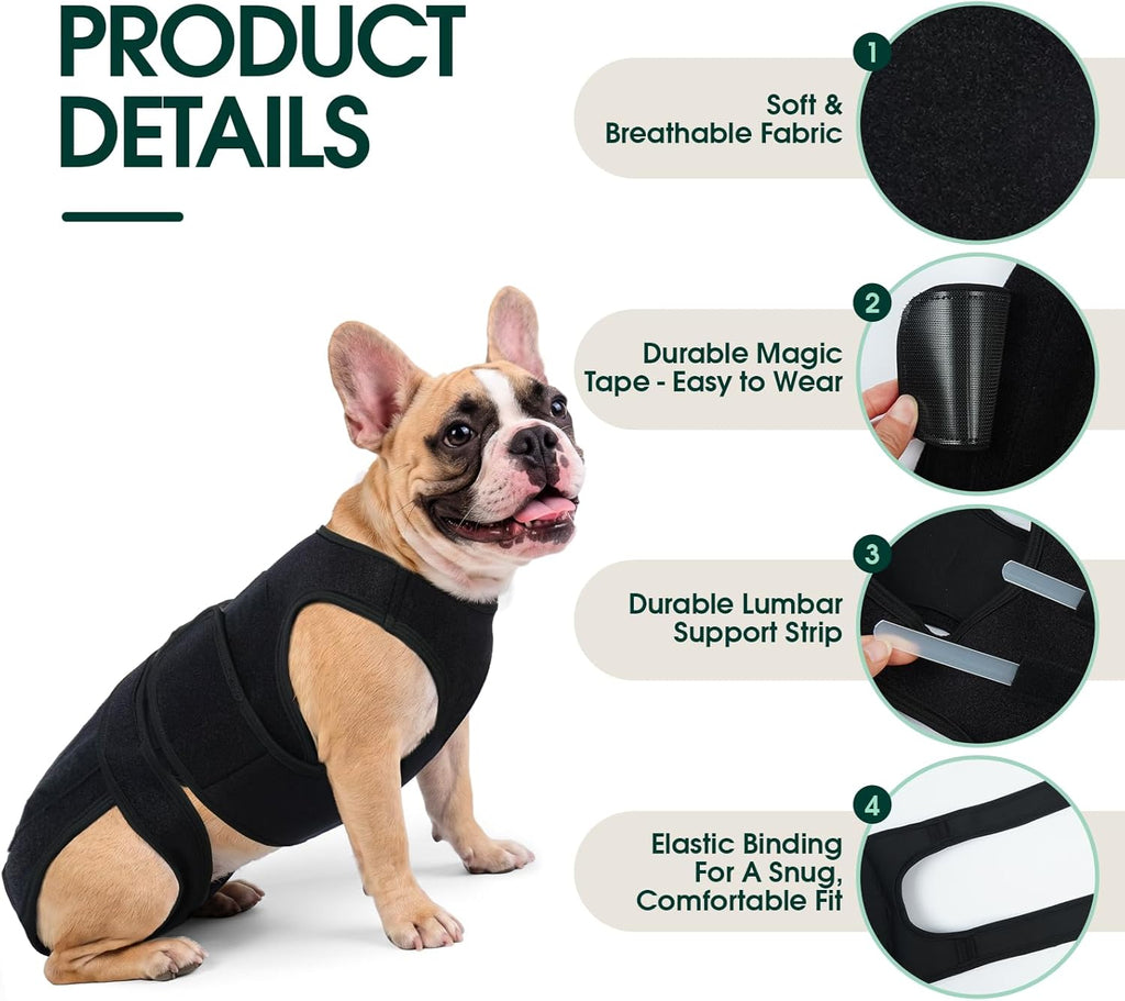 LETSQK orthopedic pet vest showing the five integrated support strips