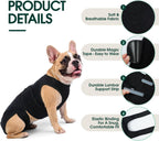 LETSQK orthopedic pet vest showing the five integrated support strips