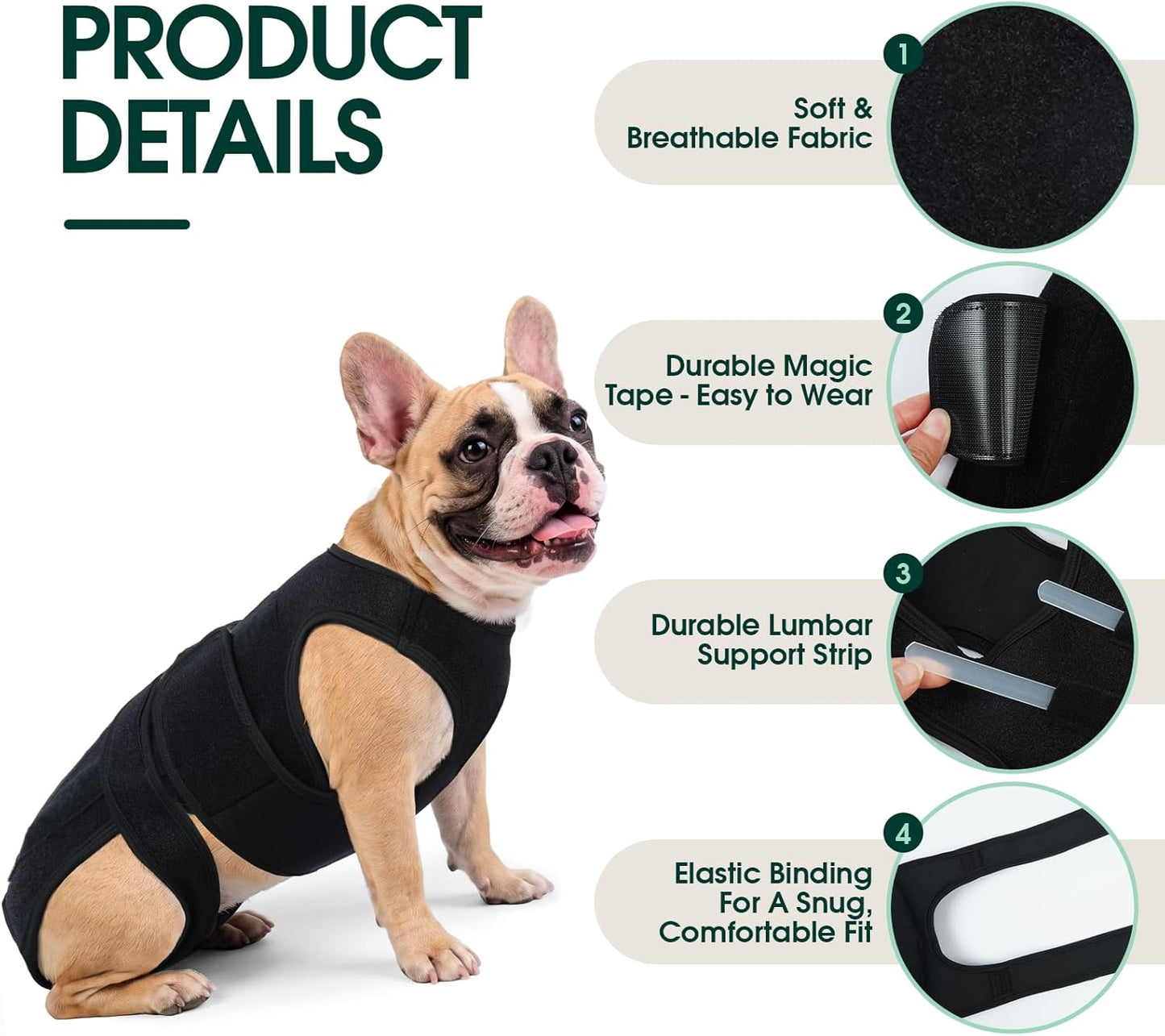 LETSQK orthopedic pet vest showing the five integrated support strips