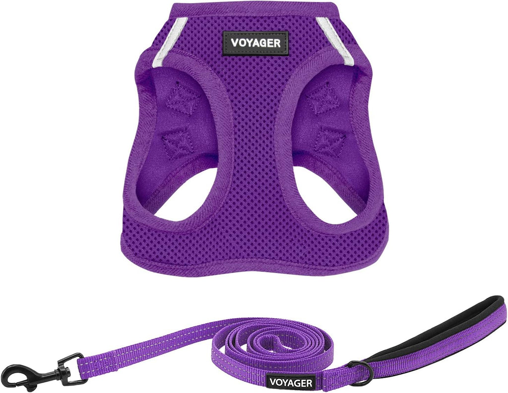 Best Pet Supplies Voyager Step-in Air All Weather Mesh Harness and Reflective Dog 5ft Leash Combo with Neoprene Handle, for Small, Medium and Large Breed Puppies - Fuchsia, Small - Image 12