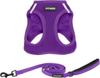 Best Pet Supplies Voyager Step-in Air All Weather Mesh Harness and Reflective Dog 5ft Leash Combo with Neoprene Handle, for Small, Medium and Large Breed Puppies - Fuchsia, Small - Image 12