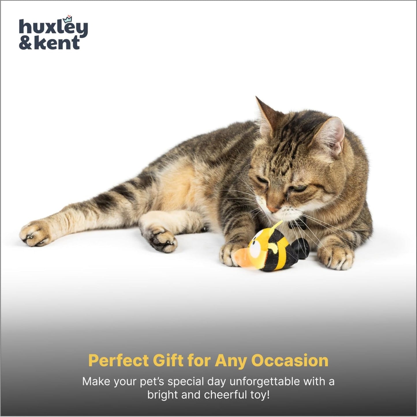 Bumble Bee Flinger interactive cat toy showcasing the stretchable elastic band feature.
